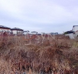 Teren 650 mp Ilfov/Otopeni