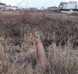 Teren 650 mp Ilfov/Otopeni