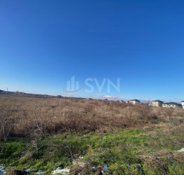 Teren 6500 mp Giurgiu/Centru