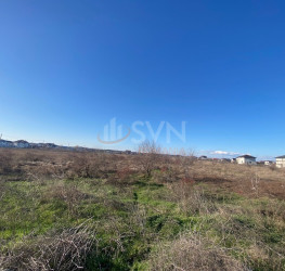Teren 6500 mp Giurgiu/Centru