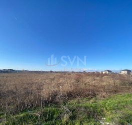 Teren 6500 mp Giurgiu/Centru