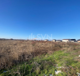 Teren 6500 mp Giurgiu/Centru