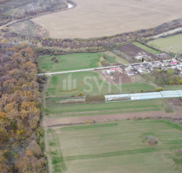 Teren 6959 mp Ilfov/Nuci