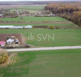 Teren 6959 mp Ilfov/Nuci
