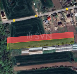 Teren 6959 mp Ilfov/Nuci