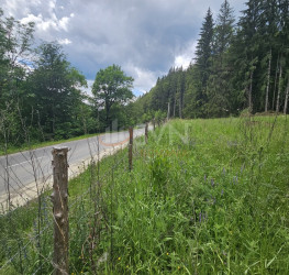 Teren 7546 mp Prahova/Centru