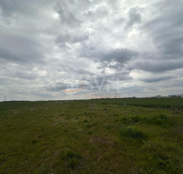 Teren 7700 mp Ilfov/Popesti-leordeni