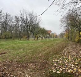 Teren 8000 mp Ilfov/Snagov