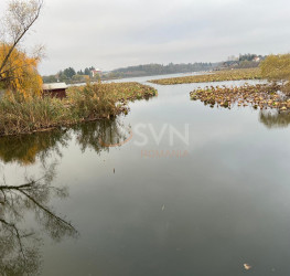 Teren , 8000 mp Ilfov/Snagov