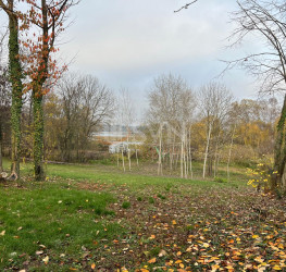 Teren , 8000 mp Ilfov/Snagov