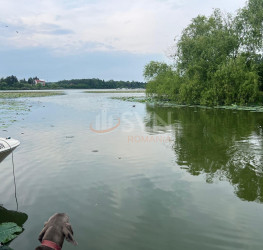 Teren , 8000 mp Ilfov/Snagov