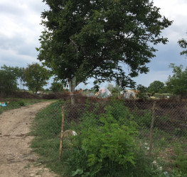 Teren 875 mp Ilfov/Ciolpani