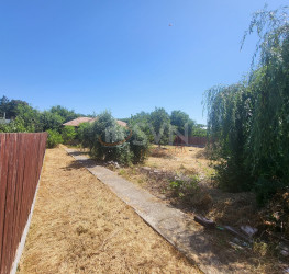 Teren , 899 mp Ilfov/Voluntari