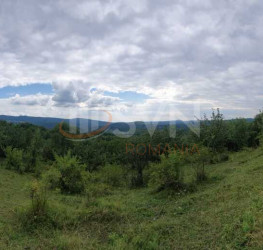 Teren 9000 mp Prahova/Centru