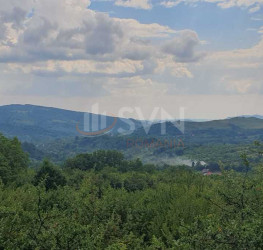 Teren 9000 mp Prahova/Centru