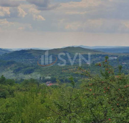 Teren 9000 mp Prahova/Centru