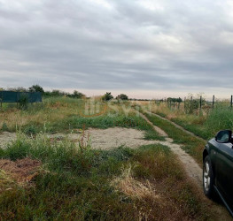 Teren , 954 mp Ilfov/Cernica