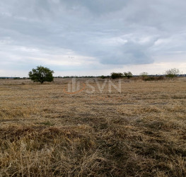 Teren , 954 mp Ilfov/Cernica