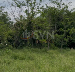 Teren 961 mp Prahova/Tribunal